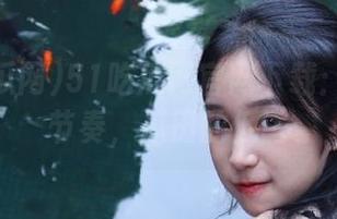 51吃瓜网官网下载：探戈的节奏，瓜田的低语