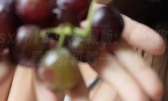 718.sx苹果版：反正你也剁手，要不要再剁一波瓜？