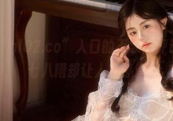 “hl02.co”入口的不靠谱评论，乱七八糟却让人想停留