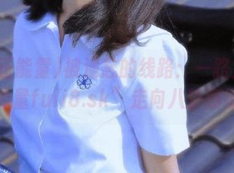 被遗忘的线路：一路从“黑料正能量fuli8.sk”走向八卦剧场吗？
